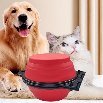 Foldable Dual Bowl 2-in-1 Pet Feeding Set - Portable Travel Bowl