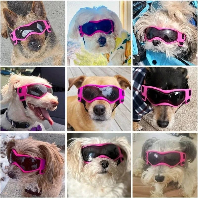 UV Protective Dog Goggles - Anti-Wind Sunglasses for Small Medium Dogs