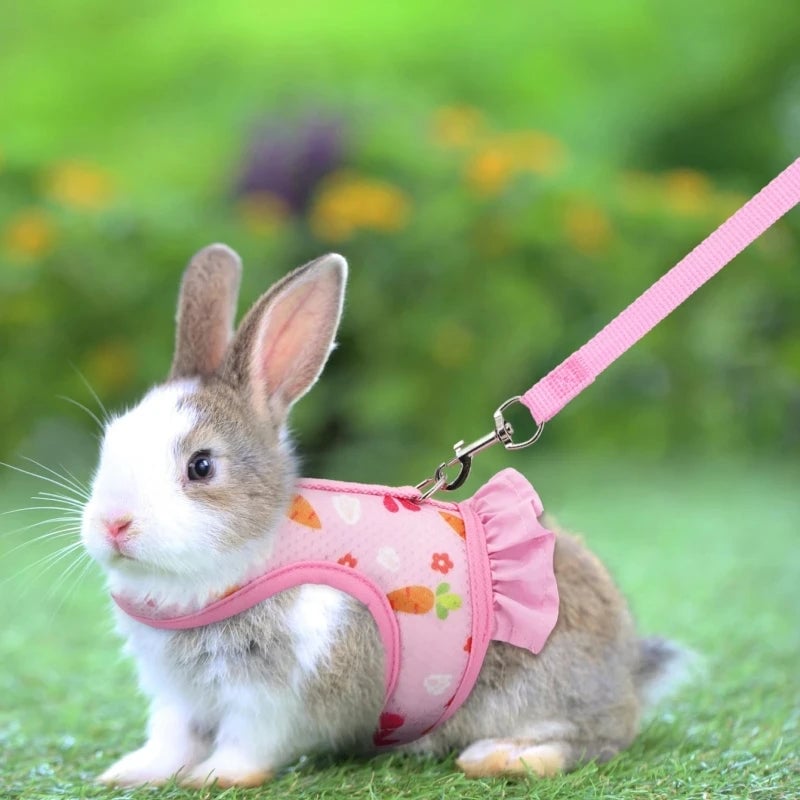 Adjustable Mesh Rabbit Harness Leash - Breathable Vest for Bunnies