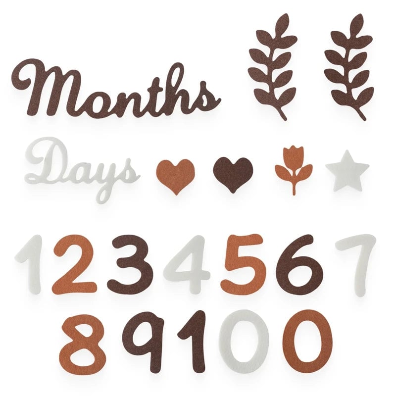 Baby Milestone Cards Felt 0-12 Months Photography Newborn Gift Set