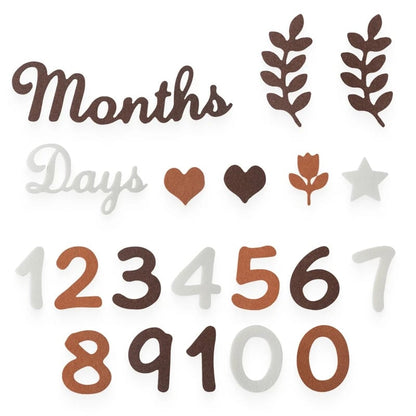 Baby Milestone Cards Felt 0-12 Months Photography Newborn Gift Set