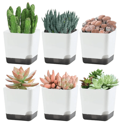 5Pcs Self Watering Plant Pots with Drainage Saucer Indoor Outdoor