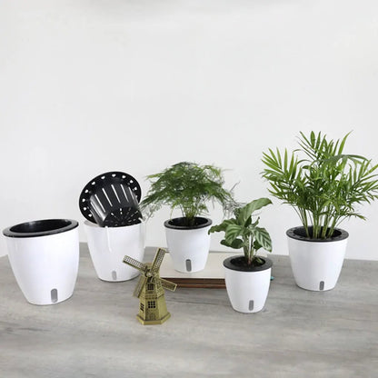 Self Watering Plant Pot - Durable Herb Vegetable Flower Planter