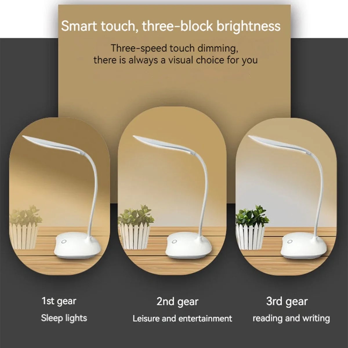 USB Rechargeable LED Desk Lamp Touch Dimming Eye Protection Office