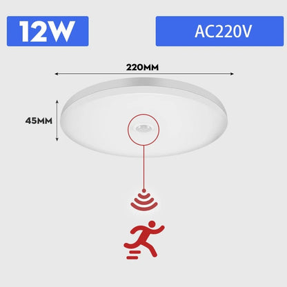 Motion Sensor LED Ceiling Light 110V/220V Surface Mount PIR Panel