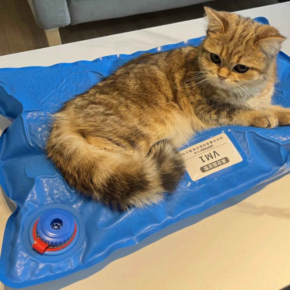 Vacuum Animal Surgical Positioning Mat - Veterinary Examination Pad