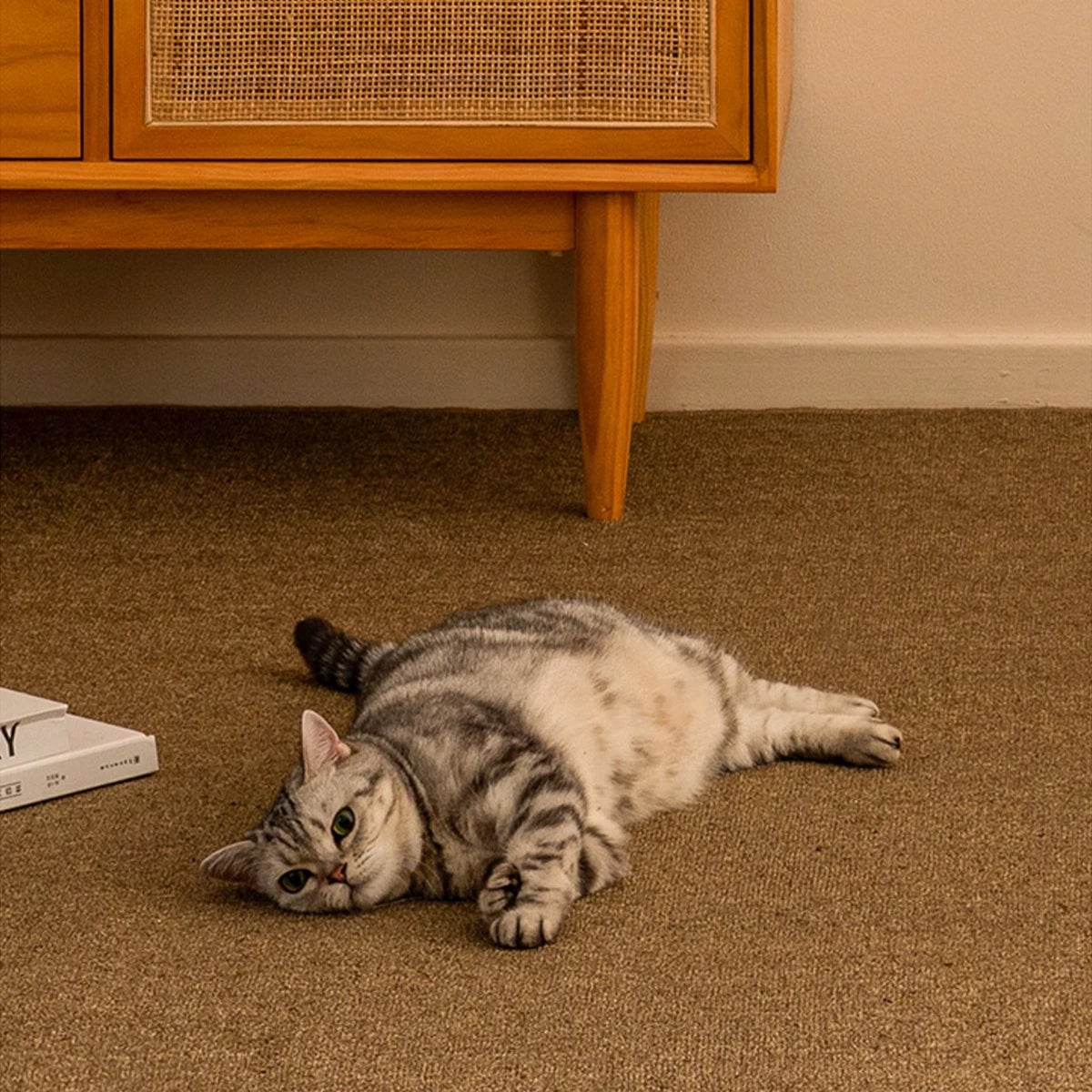 Large Non-Slip Cat Scratching Mat Carpet Pet Bed Sofa Protector