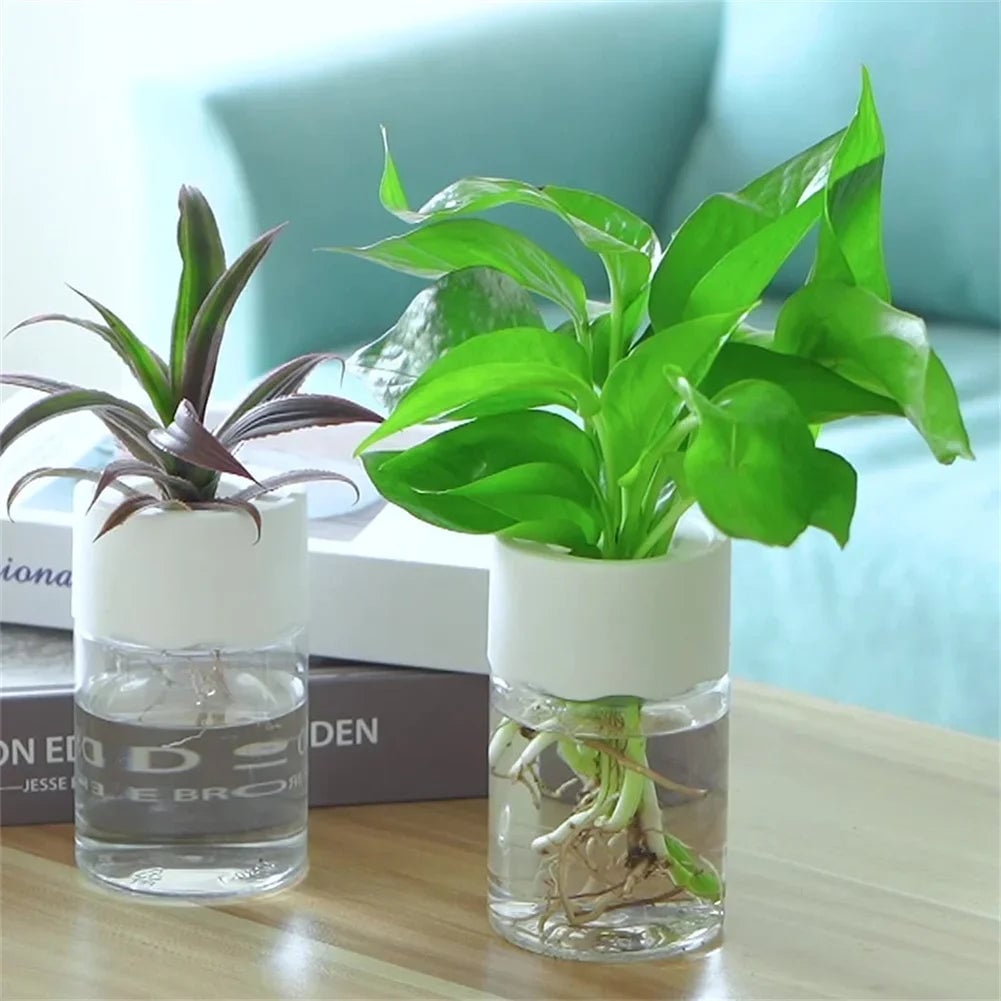 Mini Hydroponic Glass Vase - Transparent Soilless Plant Pot