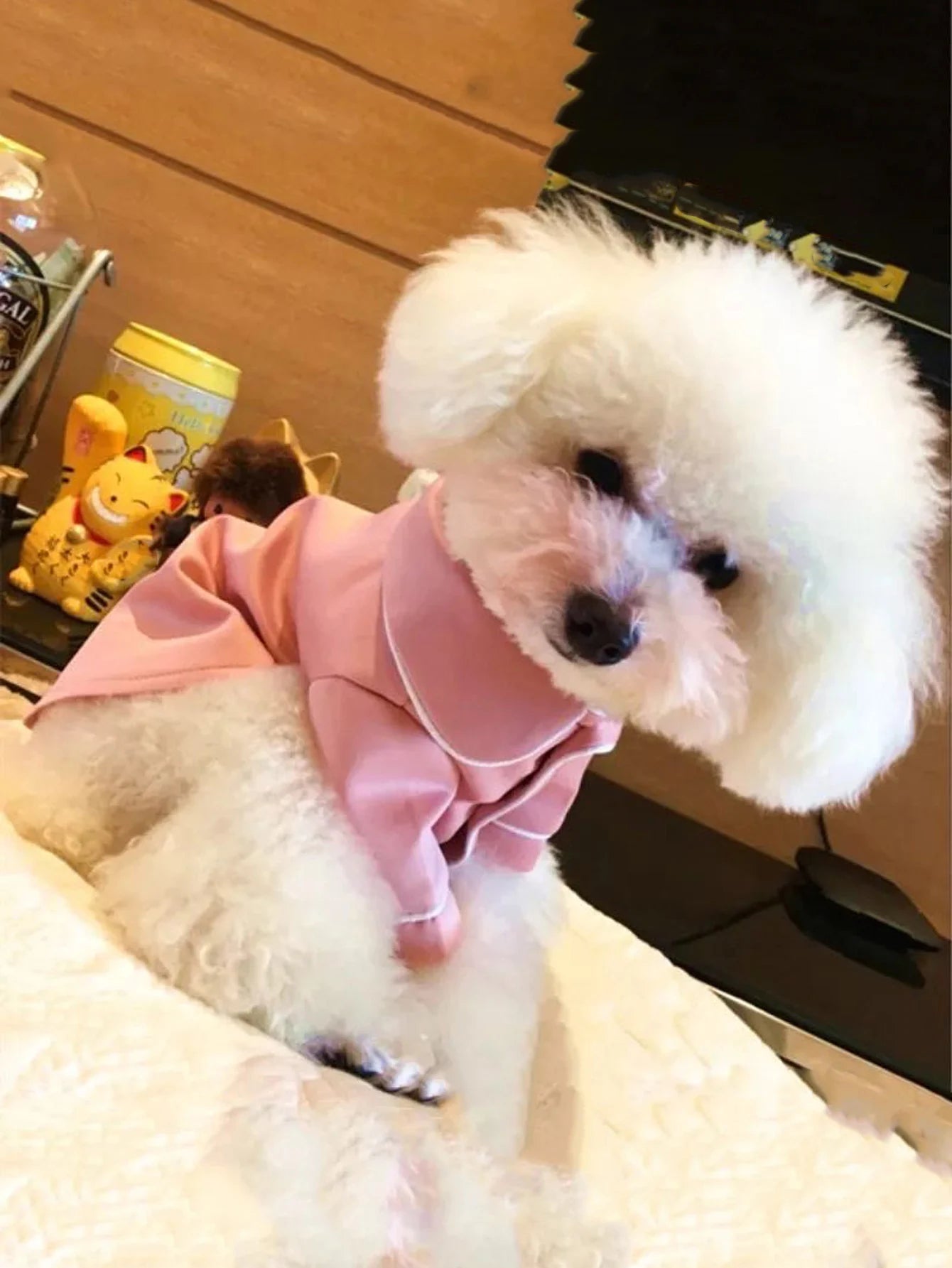 Luxury Summer Dog Pajama - Soft Comfortable Sleepwear for Small Dogs