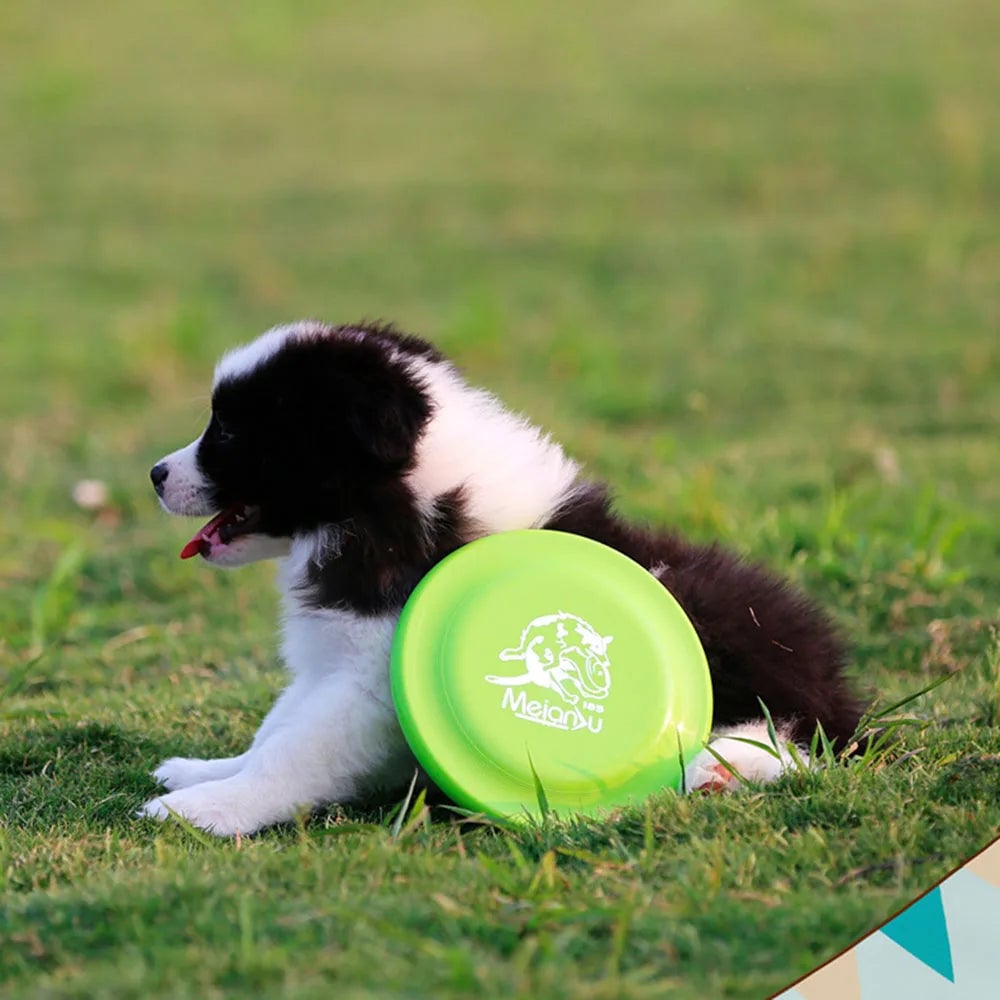 Durable Lightweight Dog Training Disc - Pet Exercise Frisbee Toy