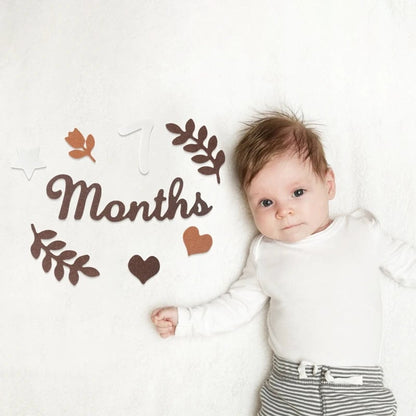 Baby Milestone Cards Felt 0-12 Months Photography Newborn Gift Set