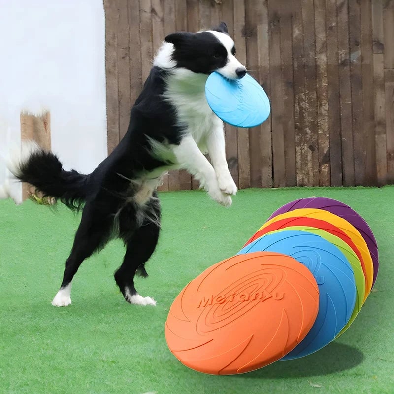 Silicone Flying Disc Dog Training Toy - Outdoor Interactive Pet Play
