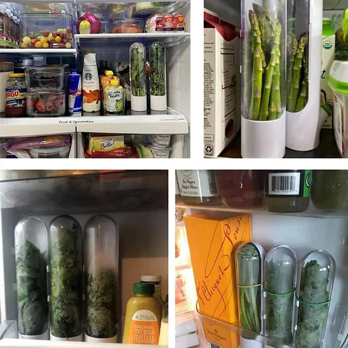 Herb Storage Container Set Fresh Keeper Refrigerator Containers