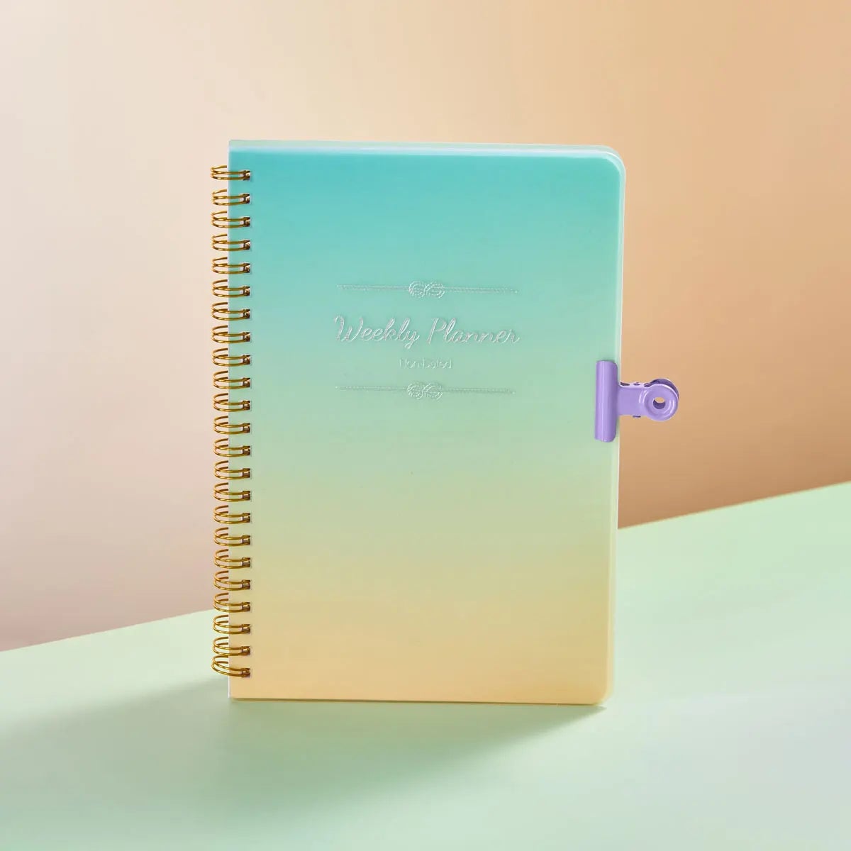 Daily Weekly Monthly Planner Notebook - Student Office Diary Journal