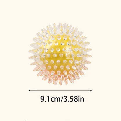 Spiky Dog Toy Ball - Teeth Cleaning Chew Interactive Exercise